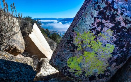 Multicolored lichens on stones in the Sierra Nevada, California, USA