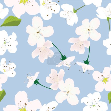 Foto de Patrón sin costuras con flores blancas y fondo azul pastel para estampados; diseño de flores blancas de cerezo con fondo rojo - Imagen libre de derechos