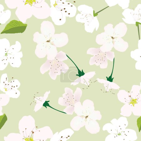 Ilustración de Patrón sin costuras con flores blancas y fondo verde pastel para estampados; diseño de flores blancas de cerezo con fondo rojo - Imagen libre de derechos