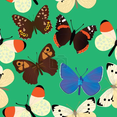 Foto de Patrón de mariposa común sin costuras con fondo verde; ilustración vectorial - Imagen libre de derechos