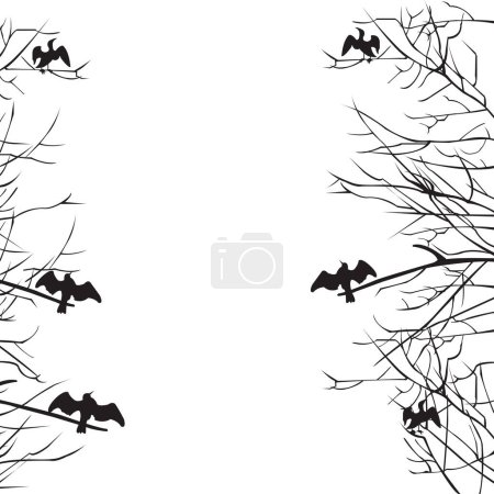 Illustration for Cormorant birds sitting on branch with opened wings; Silhouette of Cormorant birds that dries his wings in trees - Royalty Free Image