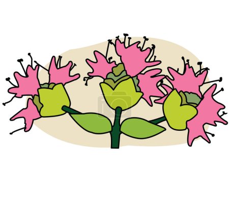 Illustration for Pink oregano branch with two little leaves and pink flowers; Outlined stem of oregano with flowers and little leafs; Kitchen herbs logo - Royalty Free Image