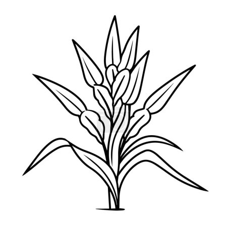 Vector illustration of young corn saplings outline icon, ideal for farming themes.