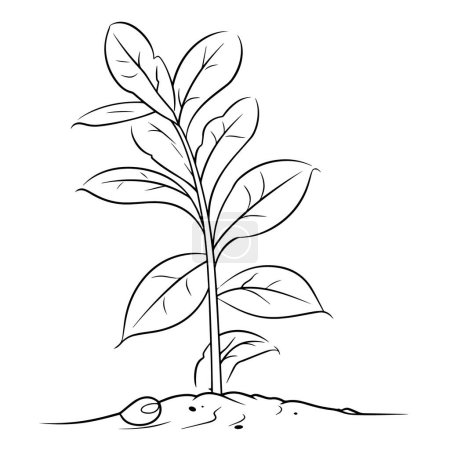 Vektorillustration eines minimalistischen Bohnenpflanzensymbols, ideal für Gartenprojekte.