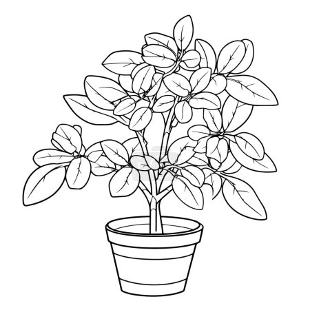 Vector illustration of a minimalist bean plant outline icon, ideal for gardening projects.