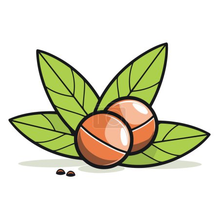 Téléchargez les illustrations : Un vecteur de contour de noix de macadamia, avec les coquilles fissurées le long des feuilles détaillées - en licence libre de droit
