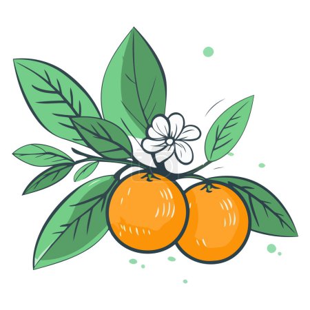 An outline vector icon of mandarin, highlighting its citrus features and simplicity