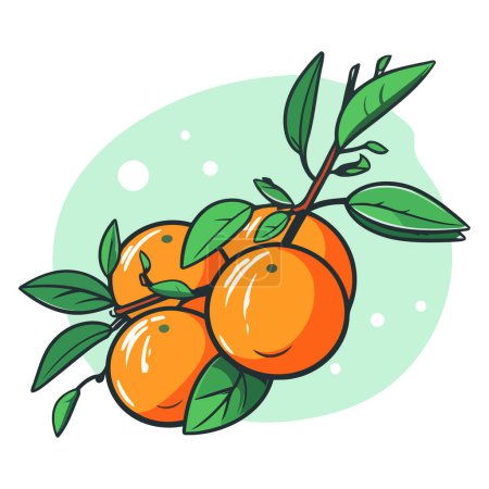 Ilustración de Un icono vectorial contorno de mandarina, destacando sus características cítricas y simplicidad - Imagen libre de derechos