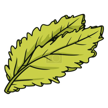 Ilustración de Un icono basado en vectores de lechuga mizuna, con un contorno distinto con hojas con volantes - Imagen libre de derechos