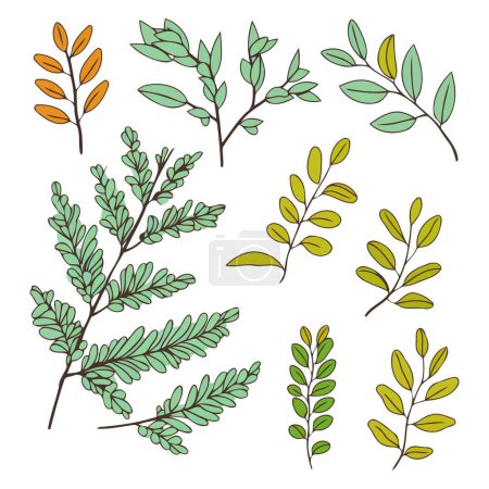 Photo for A vector based icon depicting a neem set, featuring a combination of leaves, branches, and seeds - Royalty Free Image