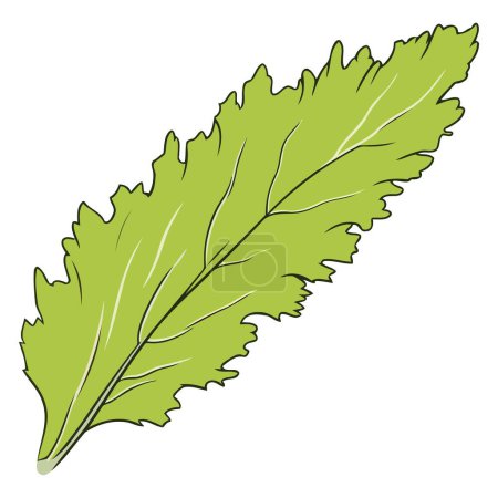 A vector based icon of mizuna lettuce, featuring a distinct outline with frilly leaves