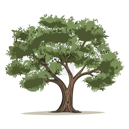 Un icono basado en vectores de un olivo, con un contorno detallado con un tronco distinto y dosel ramificado