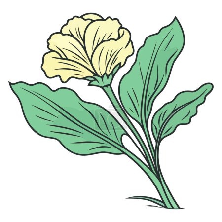 A vector based icon of Pak choi cabbage, featuring a simple outline with distinct leaves and a sturdy base