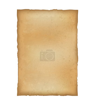Illustration for Ancient Paper, Parchment Scroll, realistic vector illustration close-up - Royalty Free Image