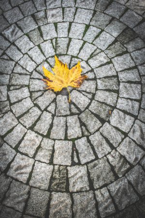 Photo for Autumn leaf on stone tiles in circle shape. - Royalty Free Image