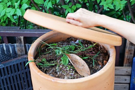 Téléchargez les photos : Vérification manuelle féminine préparant l'engrais organique dans le bac à compost, gros plan - en image libre de droit