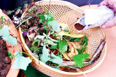 Foto de Primer plano de la cesta de sobras de hojas de alimentos y hierbas, la preparación de fertilizante orgánico en el contenedor de compost - Imagen libre de derechos