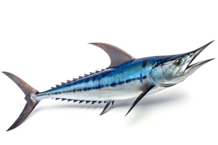 Téléchargez les photos : Marlin bleu isolé sur fond blanc - en image libre de droit