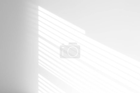 Photo for Shadow overlay effect on white background. Abstract sunlight background with window shadows. - Royalty Free Image