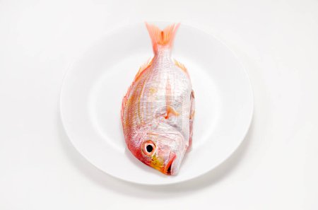 Yellowback seabream on a plate