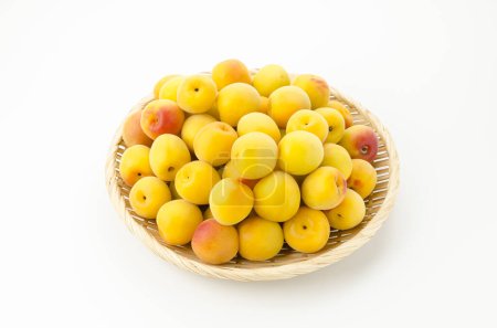 Téléchargez les photos : Prune mûre. Prune japonaise Nanko-Ume - en image libre de droit