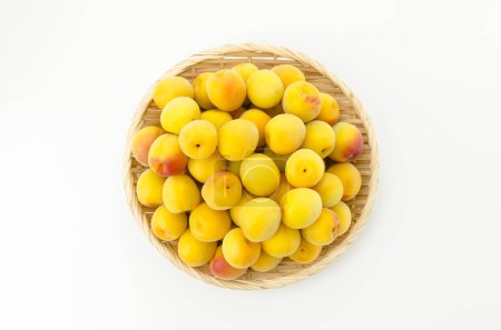 Téléchargez les photos : Prune mûre. Prune japonaise Nanko-Ume - en image libre de droit