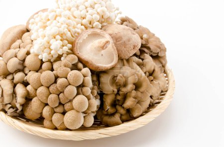Mushrooms on a bamboo basket. Shimeji, buna-shimeji, Enoki, maitake, shiitake, 