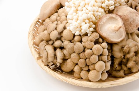 Mushrooms on a bamboo basket. Shimeji, buna-shimeji, Enoki, maitake, shiitake, 
