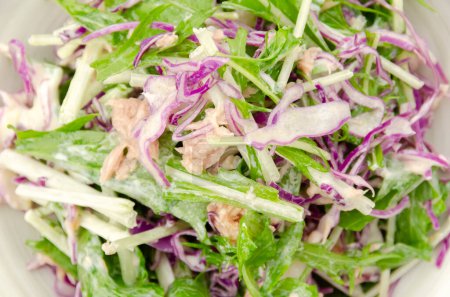 Red cabbage and mizuna salad
