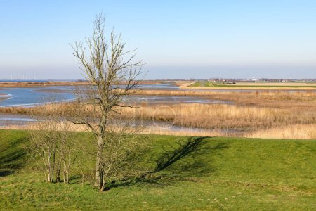 Téléchargez les photos : Vue sur la réserve naturelle Beningerslikken, The Spui et Haringvliet près de Zuidland sur la Voorne-Putten dans le sud-ouest des Pays-Bas. - en image libre de droit