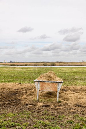 A feeding trough filled with hay stands in a field on the island Goeree-Overflakkee in the southwest of The Netherlands.