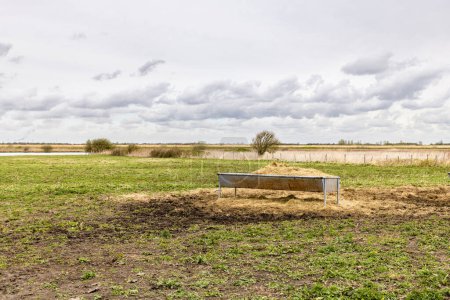 Ein mit Heu gefüllter Futtertrog steht auf einem Feld auf der Insel Goeree-Overflakkee im Südwesten der Niederlande.