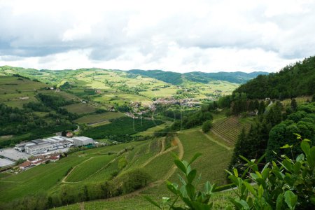 Foto de Alta Langa paisaje en Cossano Belbo en la provincia de Cuneo, Piamonte, Italia. - Imagen libre de derechos