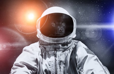 Foto de Perro en un astronauta traje espacial en el espacio exterior. - Imagen libre de derechos