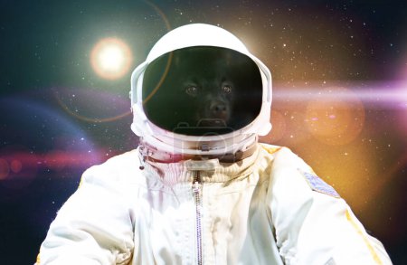 Foto de Perro en un astronauta traje espacial en el espacio exterior. - Imagen libre de derechos