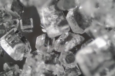 Foto de El mundo microscópico. Cristales de sal
. - Imagen libre de derechos