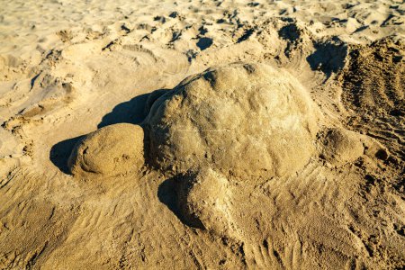Photo for Sea turtle made of sand on the beach. - Royalty Free Image