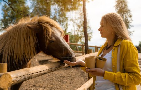 A woman feeds a horse on a farm.