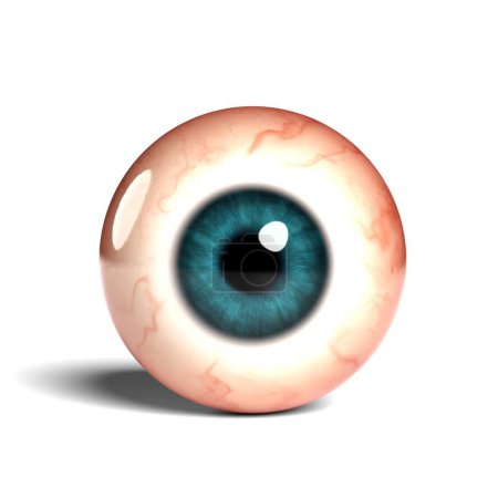 Photo for Front view of realistic human eyeball isolated on wihte background, 3D rendering. - Royalty Free Image