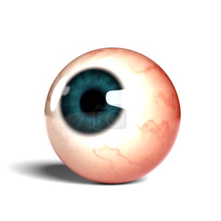 Téléchargez les photos : Vue latérale de globe oculaire humain réaliste isolé sur fond large, rendu 3D. - en image libre de droit