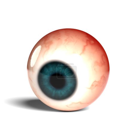 Photo for Side view of realistic human eyeball isolated on wihte background, 3D rendering. - Royalty Free Image