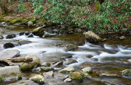 Téléchargez les photos : Exposition lente à la mite d'une rivière à Gatlinburg, Tennessee - en image libre de droit