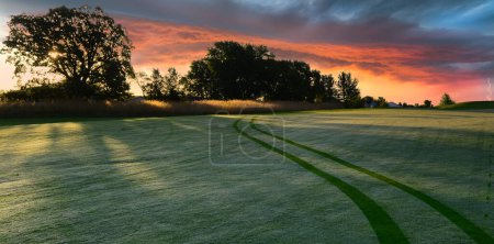 Téléchargez les photos : Scène vibrante de pistes de voiturettes de golf sur un fairway couvert de rosée avec un ciel spectaculaire au lever du soleil avec des nuages orageux et un éclair - en image libre de droit