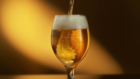 Téléchargez les photos : Glass of light beer pouring on shiny dark gold background. Studio shot with isolated glass of beer. - en image libre de droit
