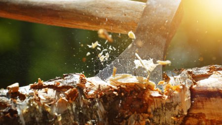 Téléchargez les photos : Détail de hache frappant bûche en bois dans la forêt. Sciure volante en mouvement de gel. - en image libre de droit