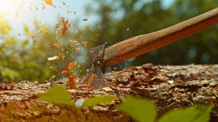 Foto de Detalle del hacha golpeando tronco de madera en el bosque. Aserrín volando en movimiento de congelación. - Imagen libre de derechos