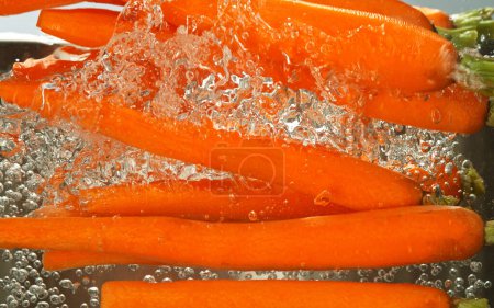 Téléchargez les photos : Prise de vue au gel des éclaboussures de carottes fraîches. Chute de légumes dans de l'eau bouillante. Tourné dans un pot en acier. - en image libre de droit