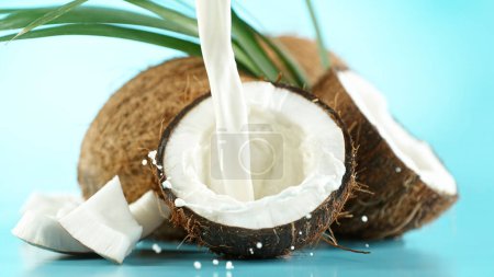 Photo for Cracked coconut with splashing milk on blue background. Freeze motion studio shot, detail. - Royalty Free Image