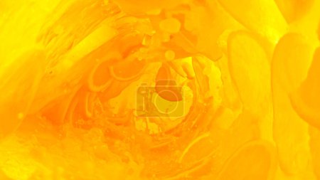 Photo for Splashing orange juice creating twister shape. Abstract fresh juicy beverages background with slices. - Royalty Free Image