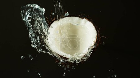 Photo for Cracked Coconut with water splash flying in the air, isolated on black background. - Royalty Free Image